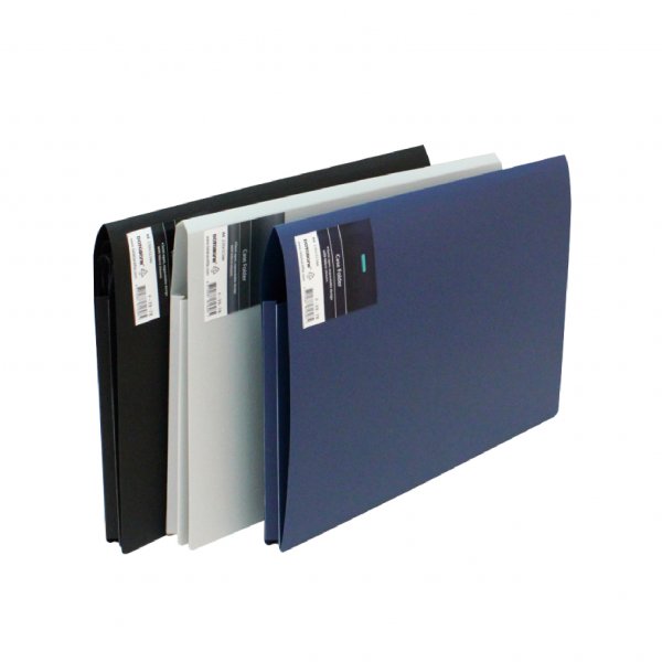 Case Folder