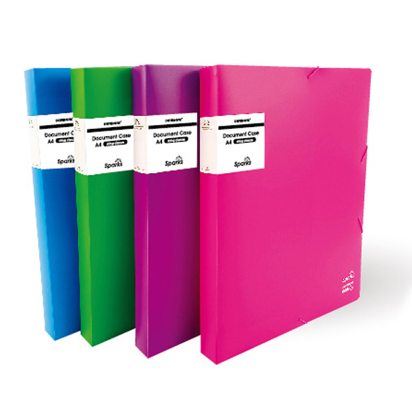 Document Case 1
